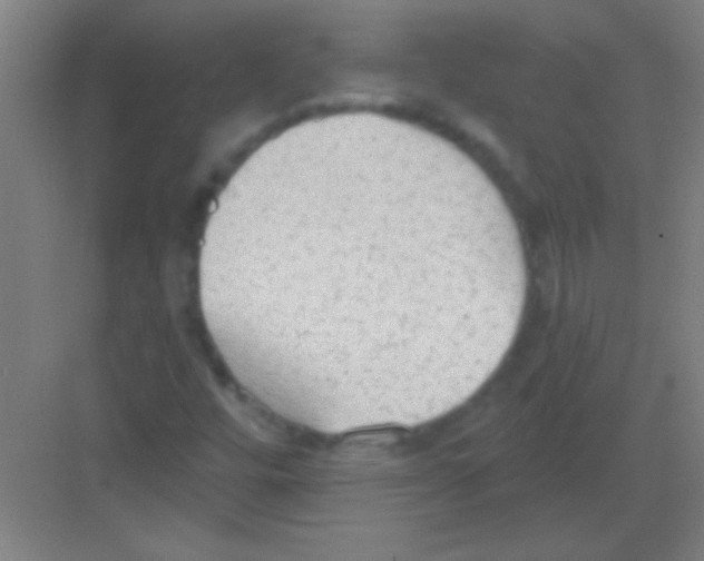 X0000081281448200702081940