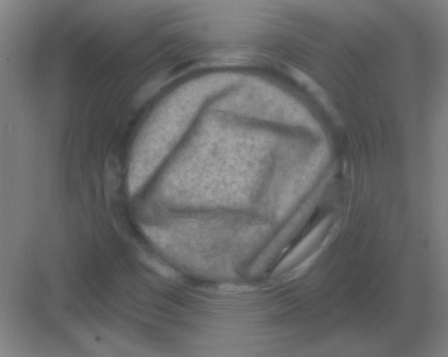 X0000081281449200702081940