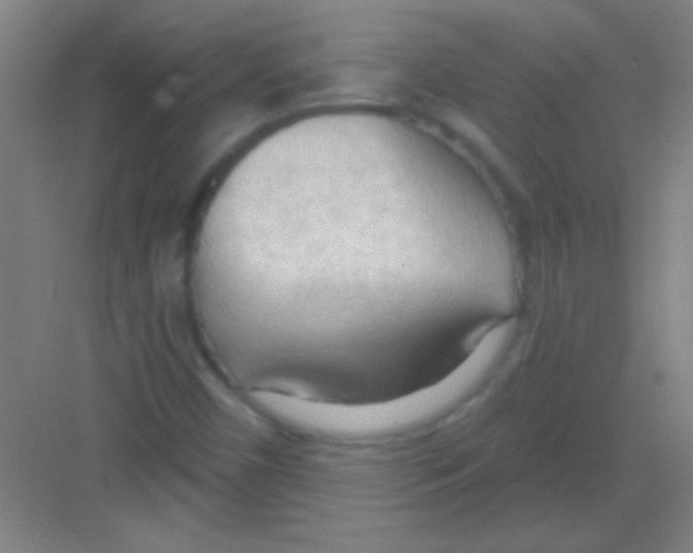 X0000081281450200702081940