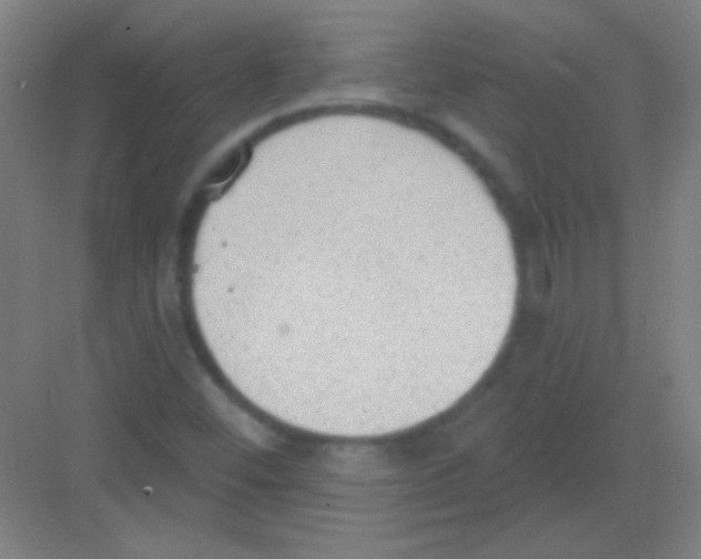 X0000081281452200702081940