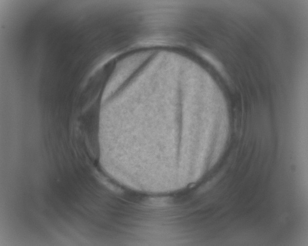 X0000081281453200702081940