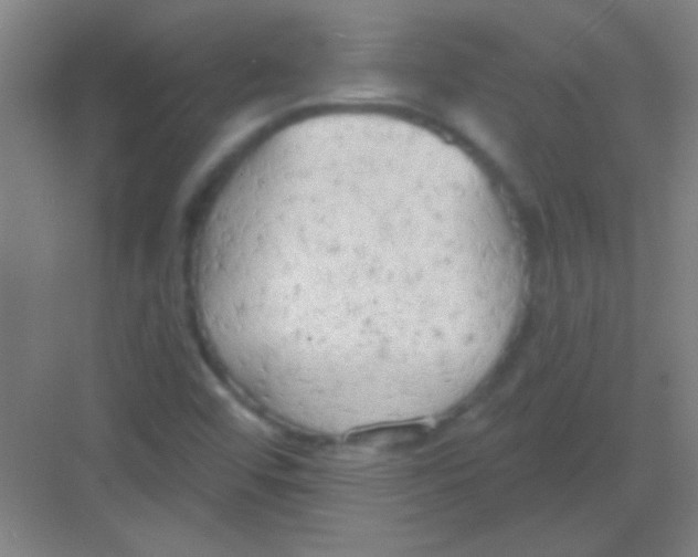 X0000081281456200702081940