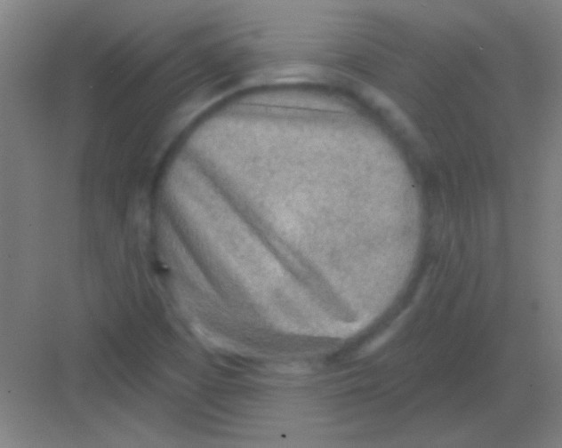 X0000081281457200702081940