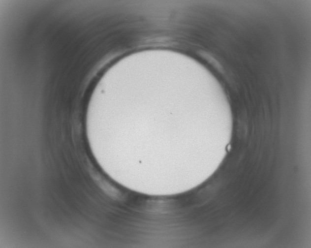 X0000081281458200702081940