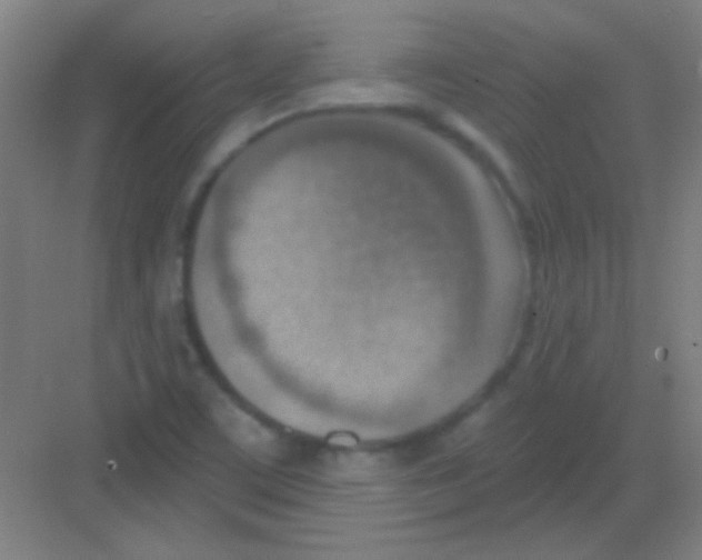 X0000081281459200702081940