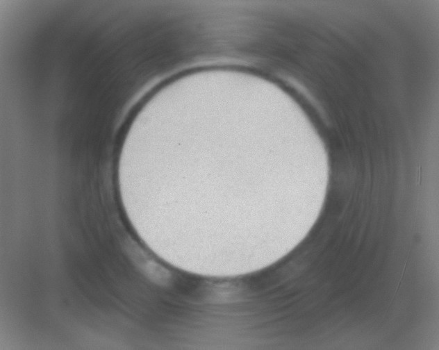 X0000081281460200702081940