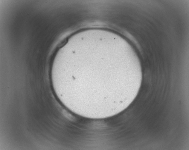 X0000081281464200702081940