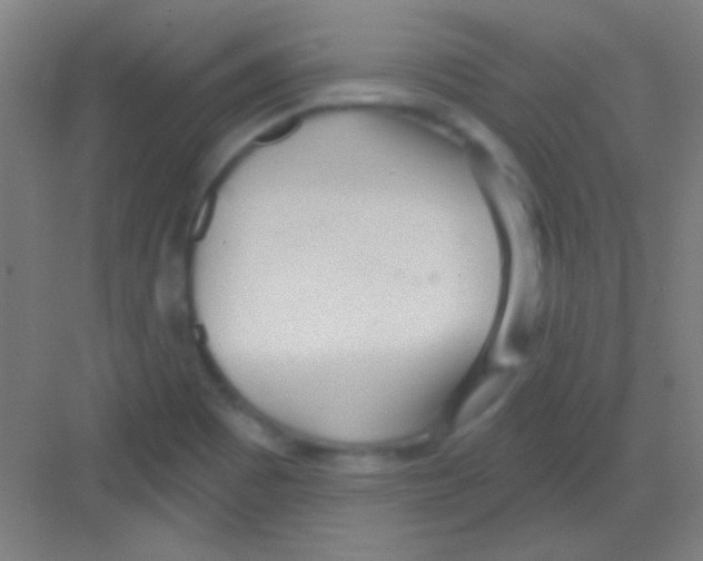 X0000081281465200702081940