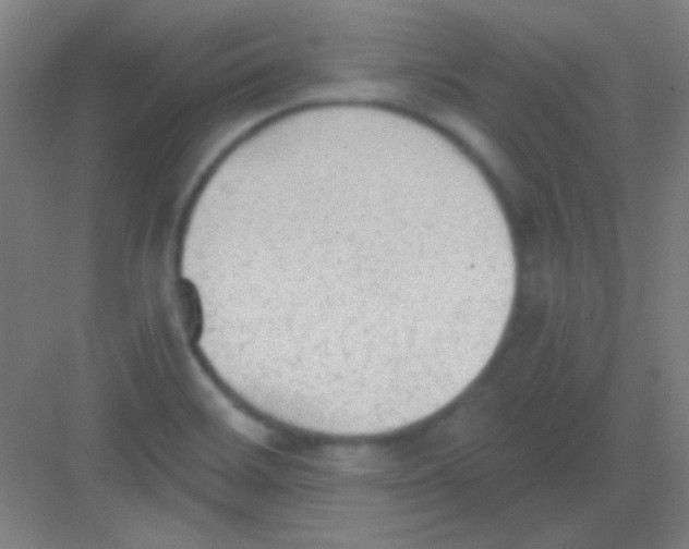 X0000081281468200702081940