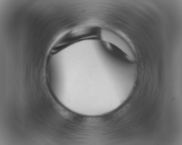 X0000081281469200702081940