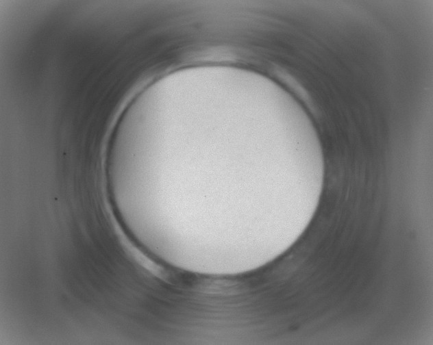 X0000081281475200702081940