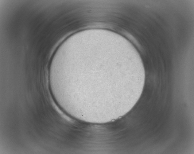 X0000081281476200702081940