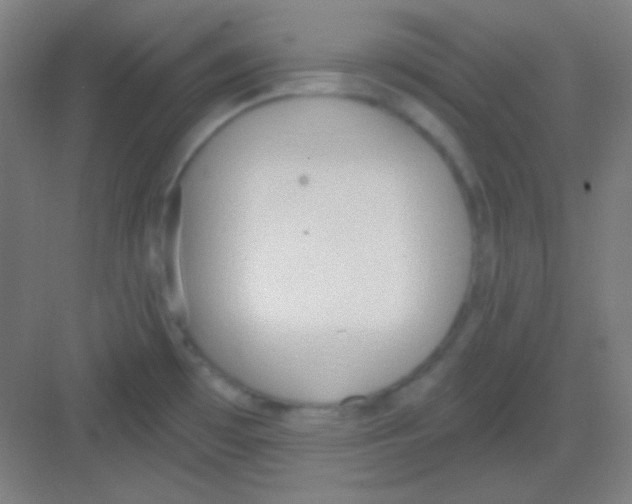 X0000081281481200702081940