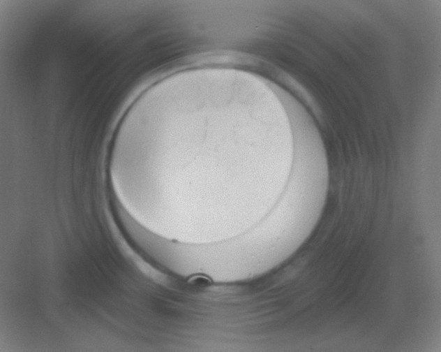 X0000081281483200702081940