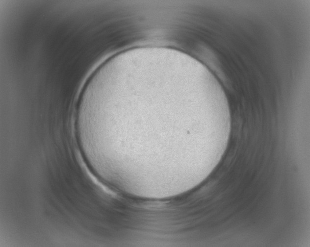 X0000081281484200702081940