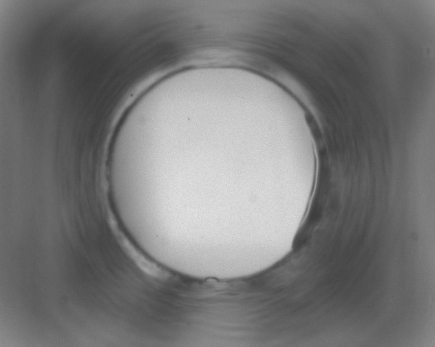 X0000081281485200702081940