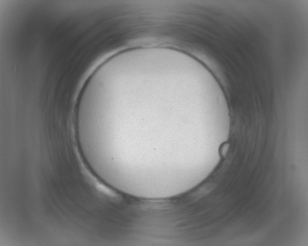 X0000081281486200702081940