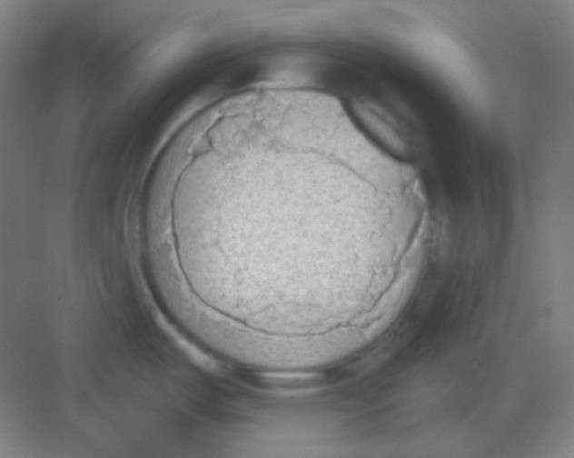 X0000081281487200702081940