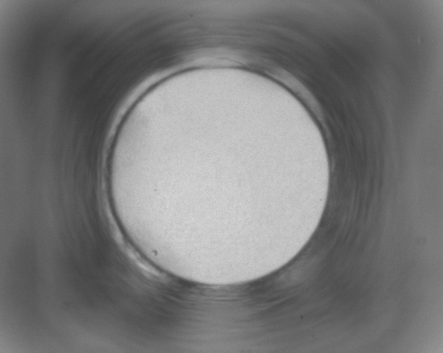 X0000081281488200702081940