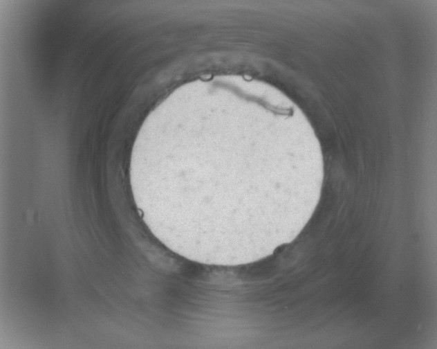 X0000081281489200702081939