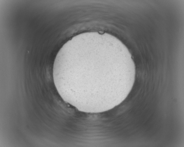 X0000081281490200702081939