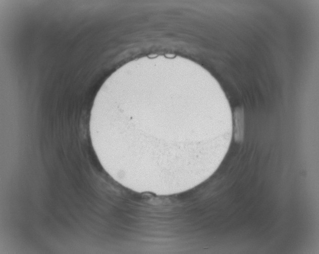 X0000081281491200702081939