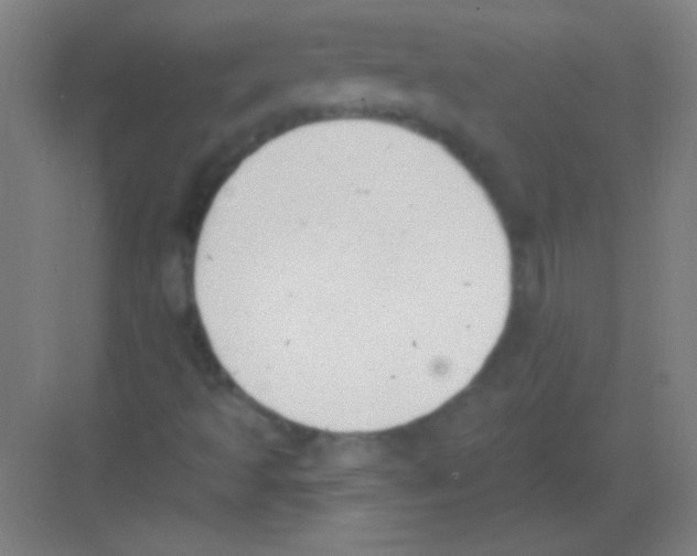 X0000081281493200702081939