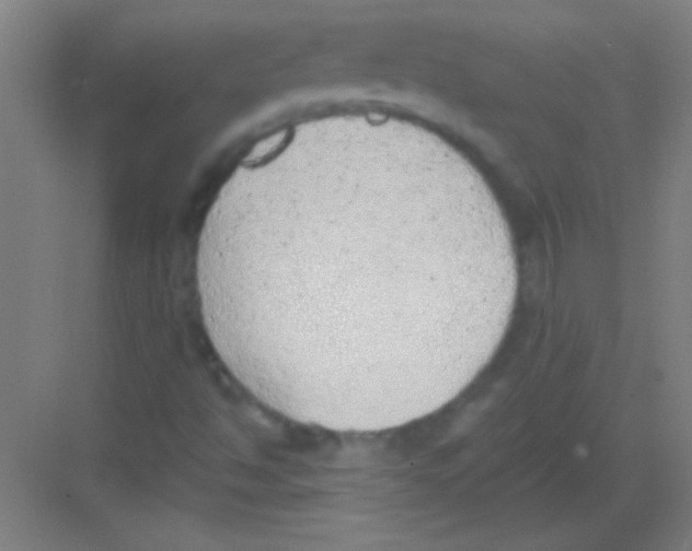 X0000081281494200702081939