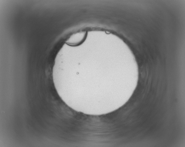 X0000081281495200702081939