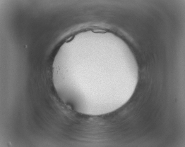 X0000081281496200702081939