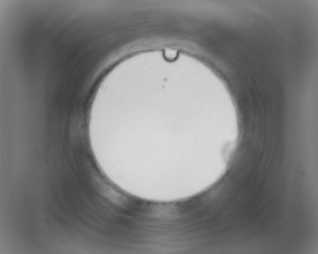 X0000081281498200702081939