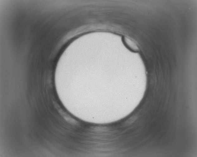 X0000081281499200702081939