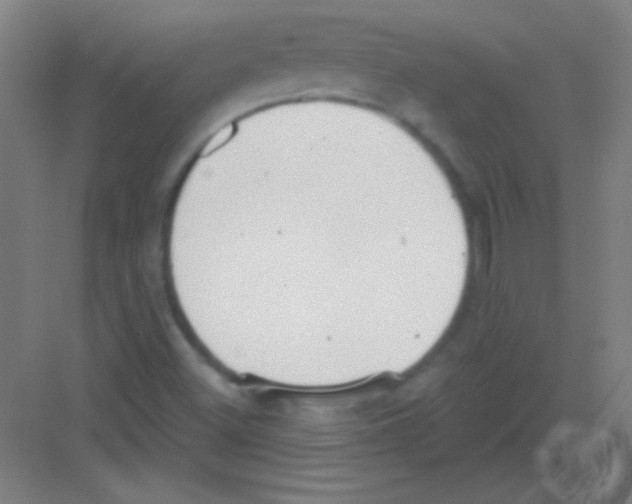 X0000081281500200702081939