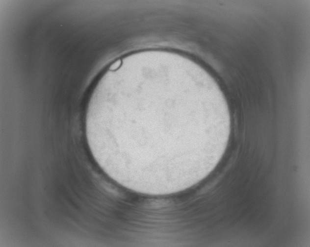 X0000081281501200702081939