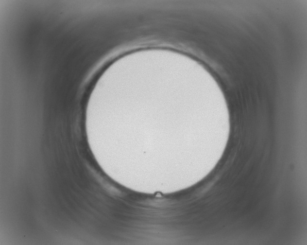 X0000081281502200702081939