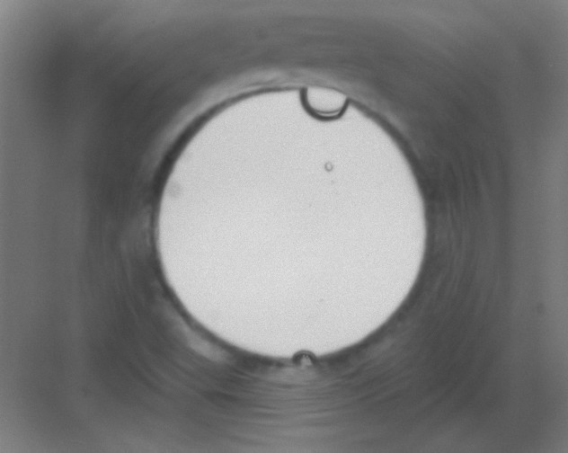 X0000081281503200702081939