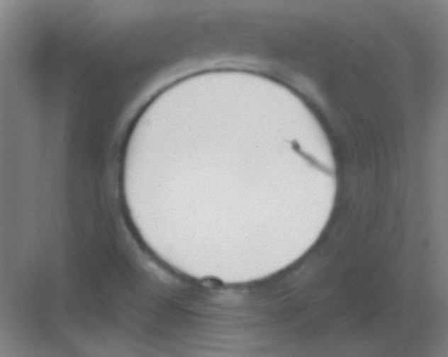 X0000081281504200702081939