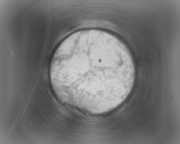 X0000081281505200702081939