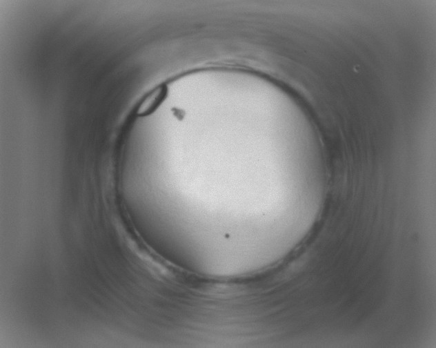 X0000081281506200702081939