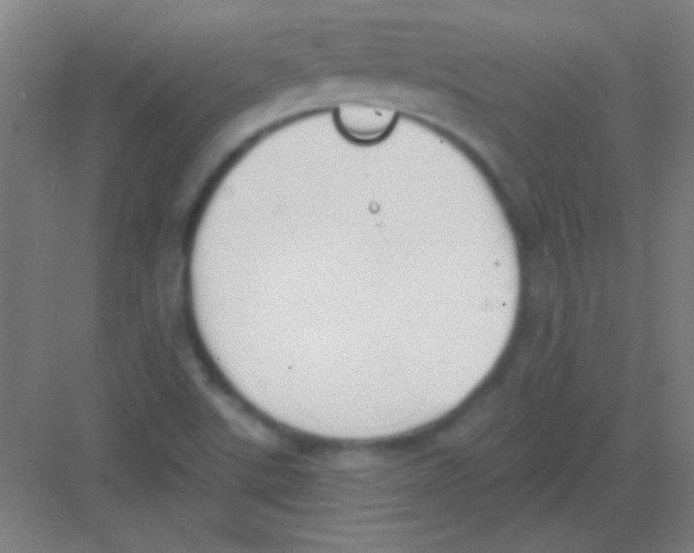 X0000081281507200702081939