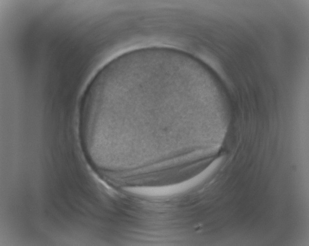 X0000081281508200702081939