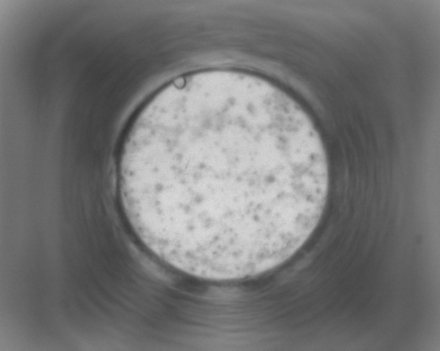 X0000081281509200702081939