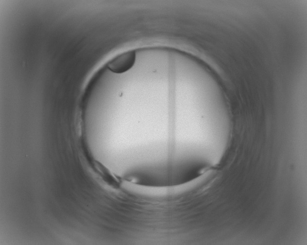 X0000081281510200702081939