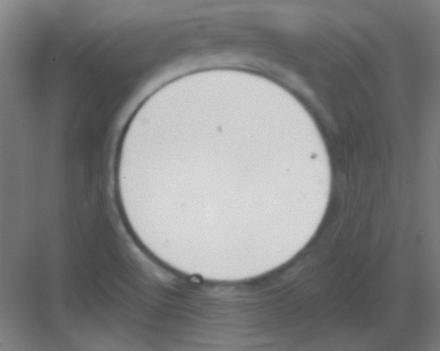 X0000081281512200702081939