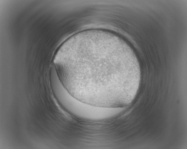 X0000081281513200702081939