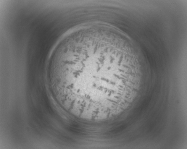 X0000081281514200702081939
