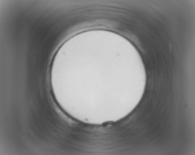 X0000081281516200702081939