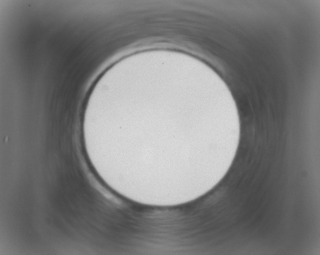 X0000081281518200702081939