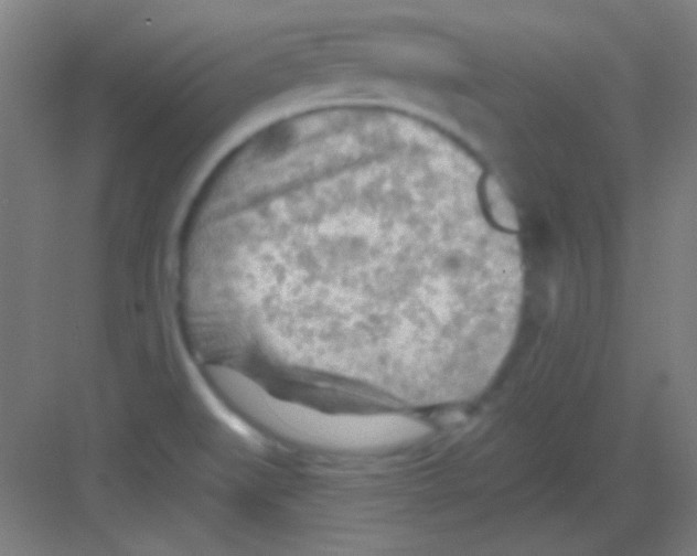 X0000081281519200702081939