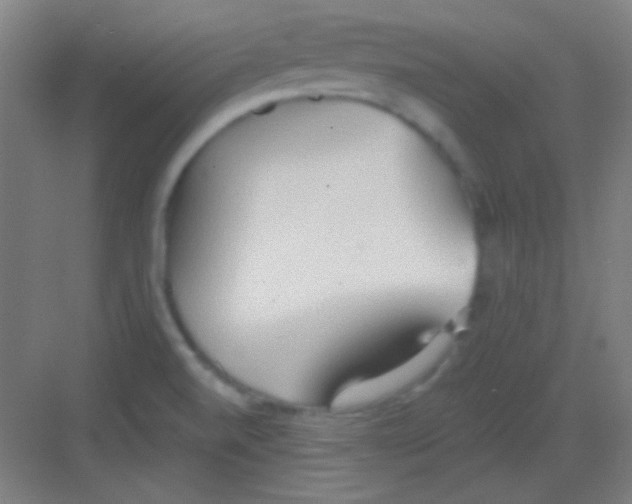 X0000081281520200702081939